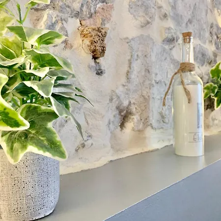 Apartamento #c3 Chez Margaux T2 Hyper-centre Pedestrian Street Cosy *